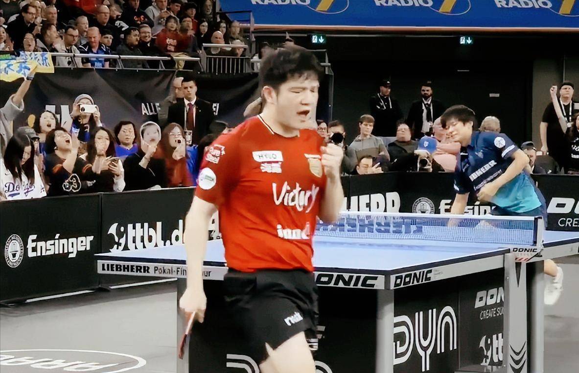 索林为什么怕樊振东继续打德甲了?看完昨日比赛,突然就明白了